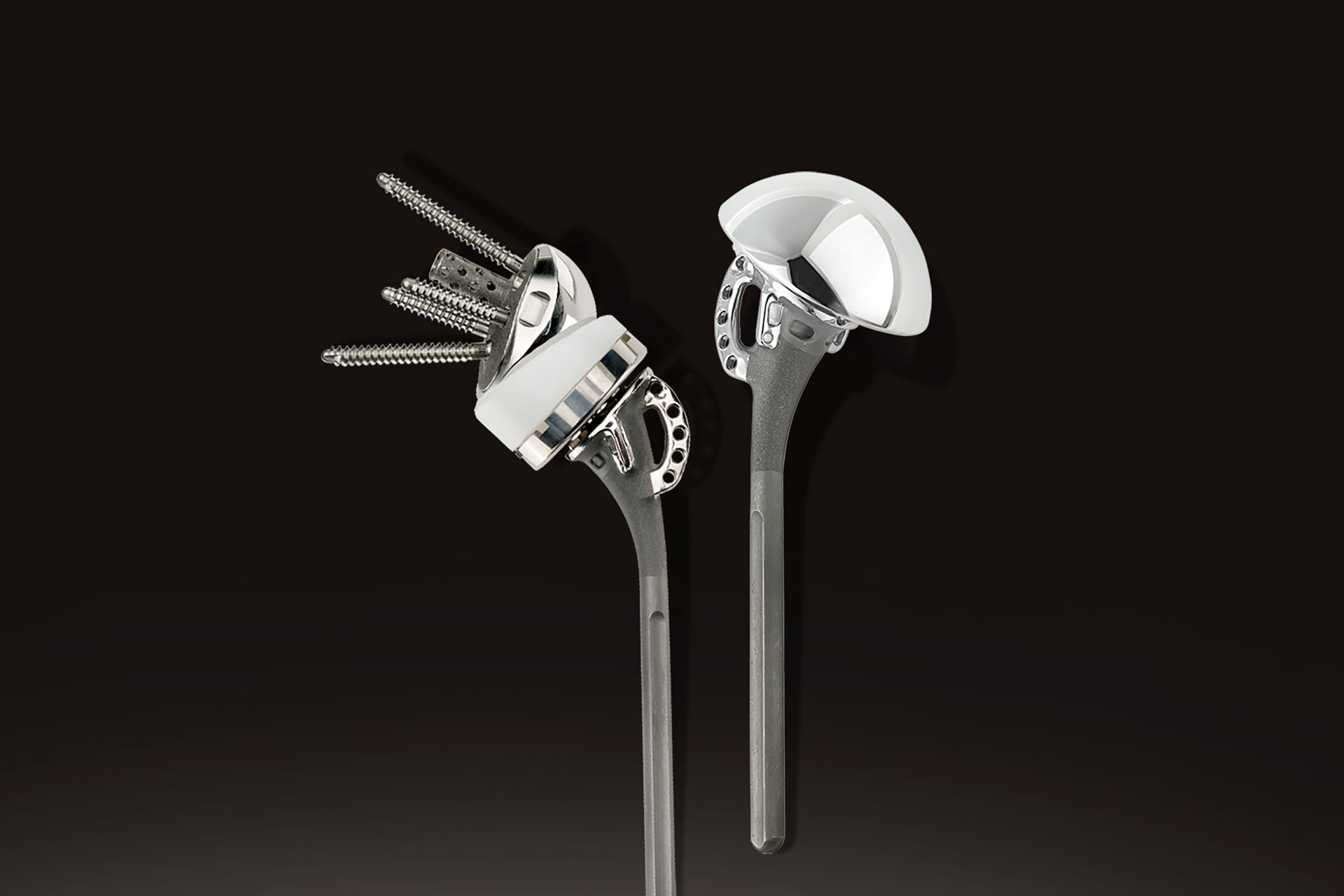 Advita Shoulder Equinoxe Fracture System