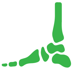 Advita Ortho Foot and Ankle Illustration Icon