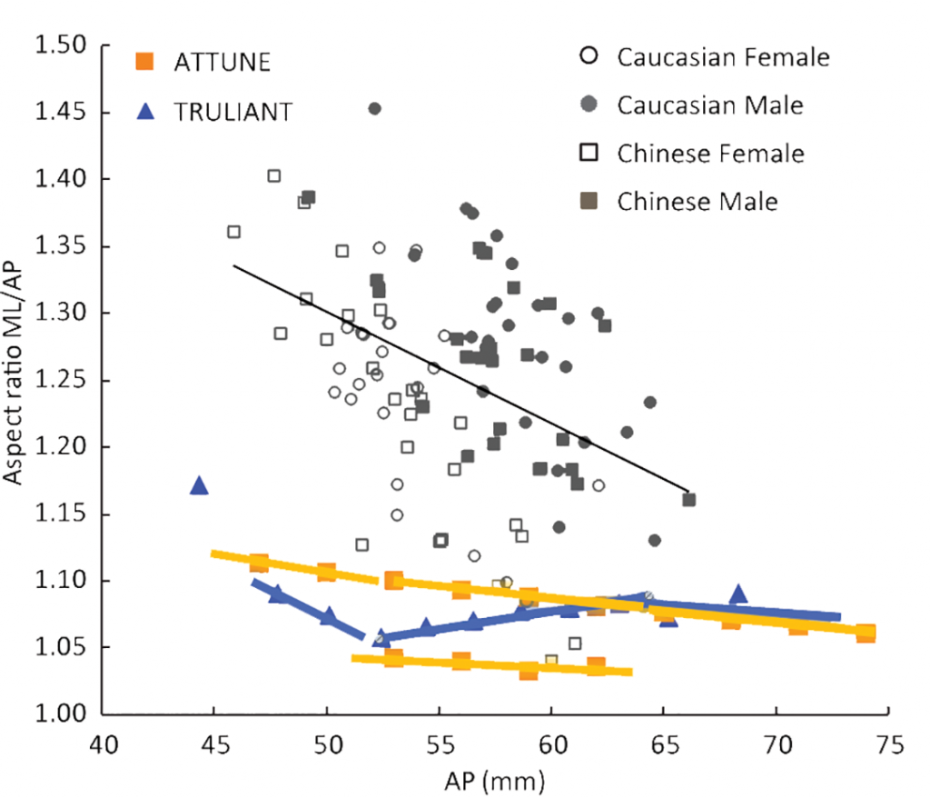 Figure 1. Aspect ratio of the bone data overlaid with the two contemporary femoral component designs.